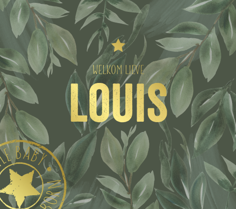 Belgisch vierkant geboortekaartje jongen jungle groen goudfolie