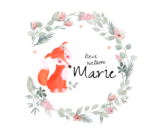 Belgischvierkant geboortekaartje meisje watercolor vos