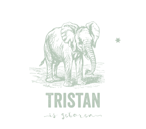 Belgisch vierkant geboortekaartje met olifant gravure zelf maken
