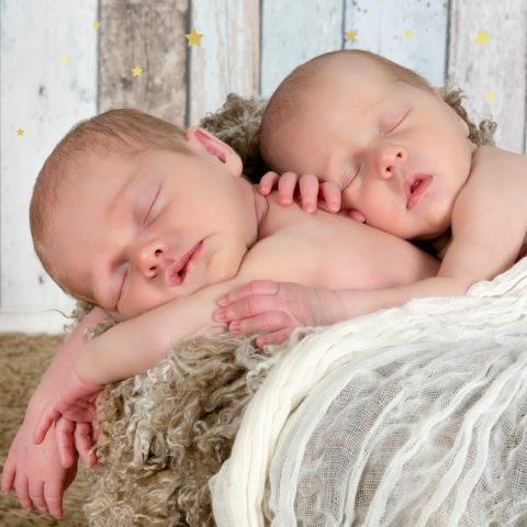 Botanisch tweeling geboortekaartje donkerblauw en goudfolie sterren