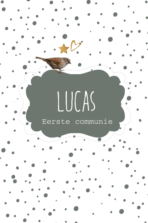 Uitnodiging communie jongen met confetti, ster en vogeltjes