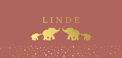 Hip goudfolie geboortekaartje meisje terra olifant jungle