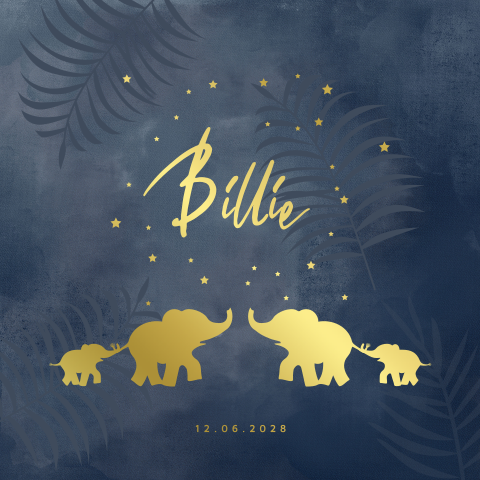 Stijlvol geboortekaartje met silhouet van baby olifant familie